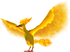 146.png