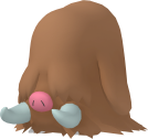 221.png