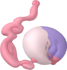 518.png