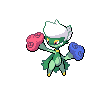 407.png