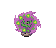 442.png