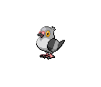 519.png