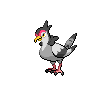 520.png
