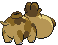 449.gif
