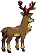 586.gif