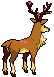586.gif