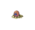 050.png