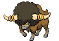 626.gif