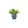 043.png