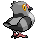 519.gif