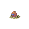 050.png
