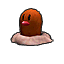 050.png