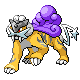 243.png