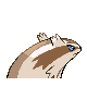 264.png