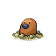 050.png