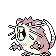 020.png