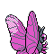 049.png
