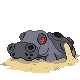 450.png