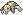 Nincada