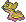 Gastrodon (Westl. Meer)