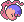 Somnivora