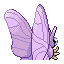 049.png