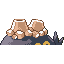 323.png