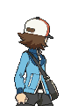 Warren.png