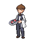 Servierer.png