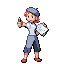 Maler.png