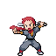 Ninjajunge.png