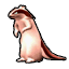 264.gif